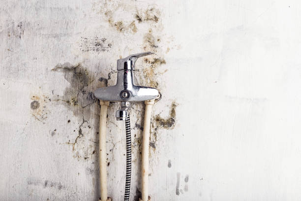 Best Commercial Mold Remediation in South Padre Island, TX